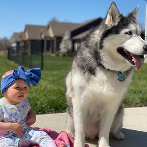 Meet your Posher, Sam